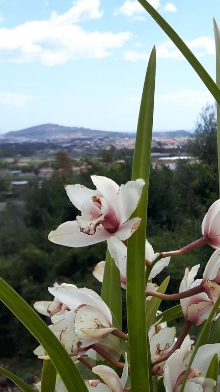 Il Panoramico Tortolì